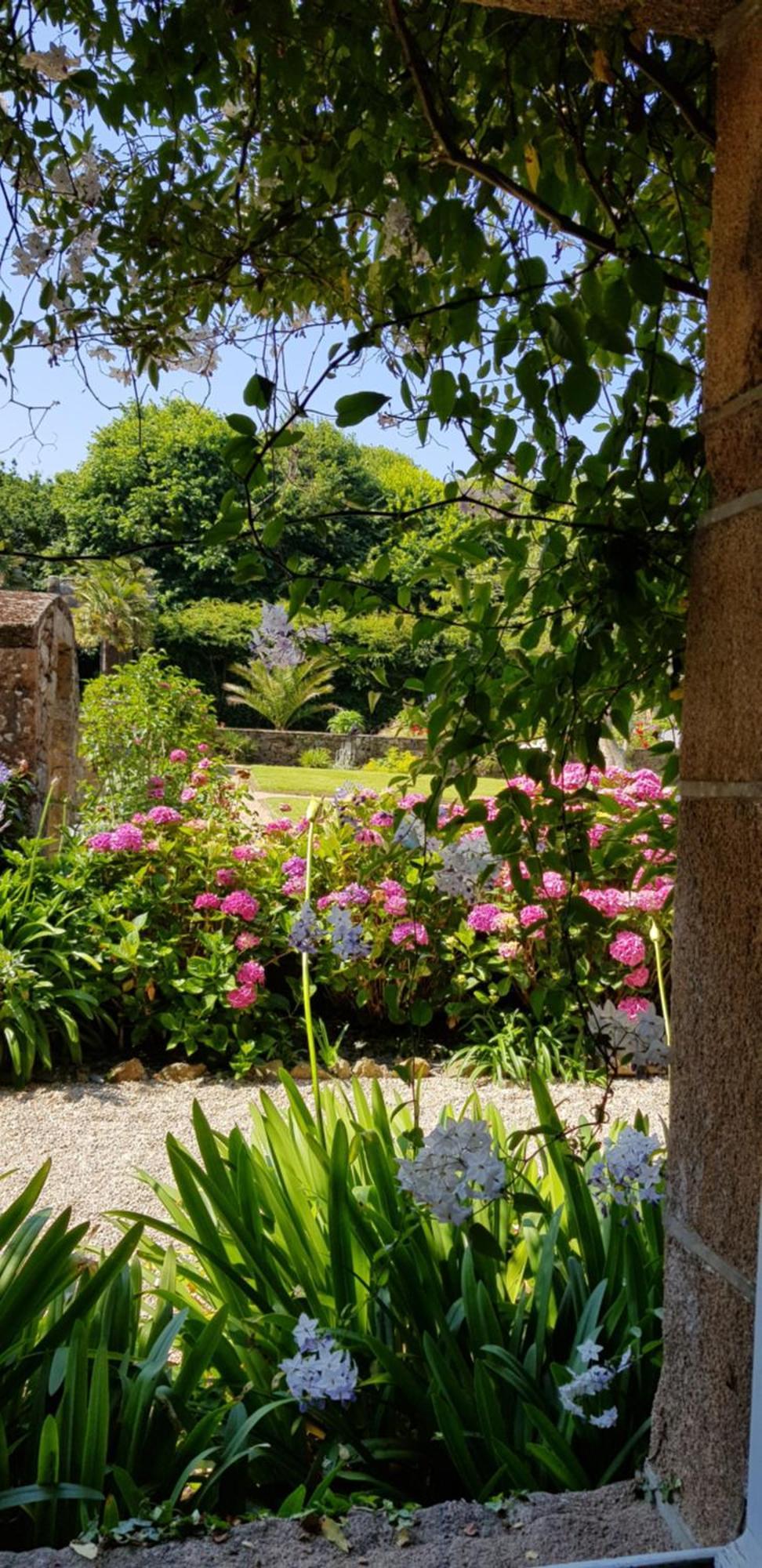 Manoir De Keringant Guest House Saint-Quay-Perros Екстериор снимка